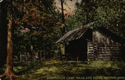 Adirondack Camp, Hills and Dales Postcard