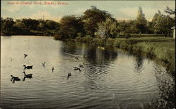 Scene in Central Park Postcard