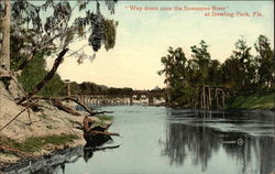 "Way down upon the Suwannee River Postcard