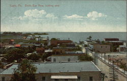 Bird's Eye View, looking west Eustis, FL Postcard Postcard
