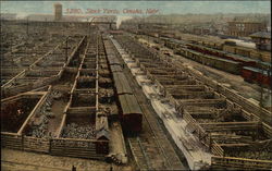 View of Stock Yards Postcard