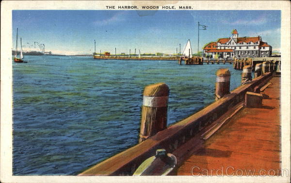 The Harbor Woods Hole Massachusetts