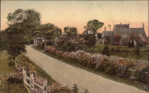 Road to North Chatham Massachusetts