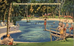 Tropical Park Sanlando Springs, FL Postcard Postcard