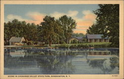Scene in Chenango Valley State Park Postcard