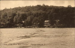 Some of the West Shore Cottages Oquaga Lake, NY Postcard Postcard