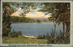 Greetings from Lake Sebasticook Postcard