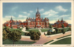 Johns Hopkins University Postcard