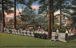 Playing Shuffleboard Hendersonville, NC Postcard Postcard