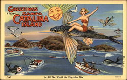 Greetings from Santa Catalina Island Postcard