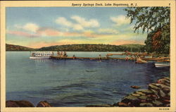 Sperry Springs Dock Postcard