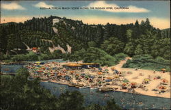 Typical Beach Scene along the Russian River Postcard