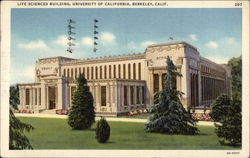 Life Sciences Building, University of California Berkeley, CA Postcard Postcard