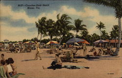 Crandon Park Beach Postcard