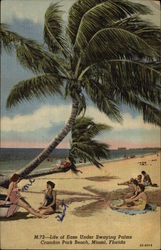 Life of Ease Under Swaying Palms, Crandon Park Beach Postcard