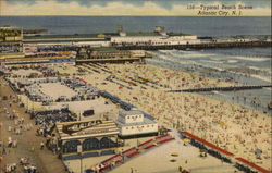 Typical Beach Scene Postcard