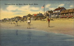 Cottages Along the Shore Postcard