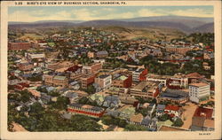 Bird's-Eye View of Business Section Postcard