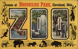 Scenes at Brookside Park Zoo Postcard