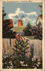 Cape Cod Quaintness Postcard
