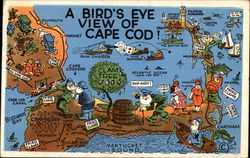 A Bird's Eye View of Cape Cod Postcard