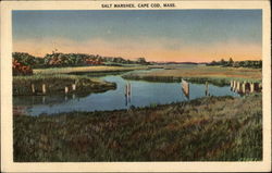 Salt Marshes Cape Cod, MA Postcard Postcard