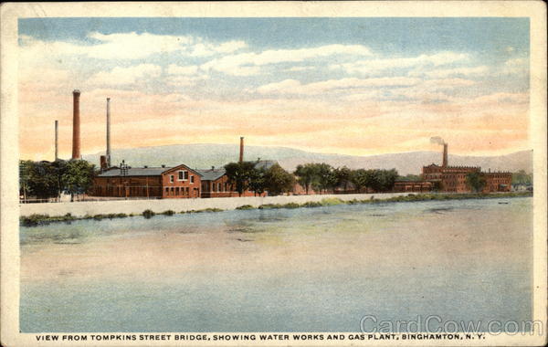 View from Tompkins Street Bridge, Showing Water Works & Gas Plant Binghamton New York
