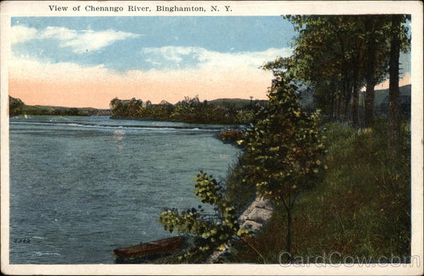 View of Chenango River Binghamton New York