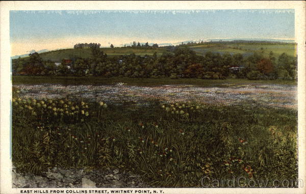 East Hills From Collins Street Whitney Point New York