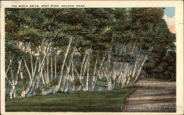 The Birch Drive, Spot Pond Malden Massachusetts