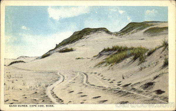 Sand Dunes Cape Cod, MA