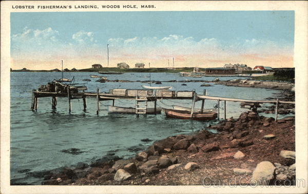 Lobster Fisherman's Landing Woods Hole Massachusetts