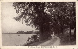 Greetings from Bainbridge, N.Y Postcard