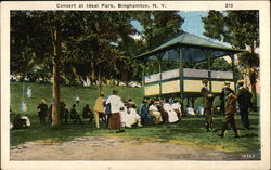 Concert at Ideal Park Postcard