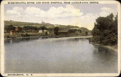 Susquehanna River and State Hospital from Lackawanna Bridge Postcard