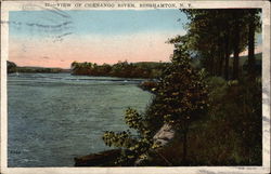 View of Chenango River Postcard