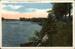 View of Chenango River Postcard