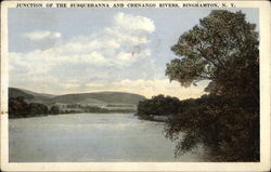 Junction of the Susquehanna and Chenango Rivers Postcard