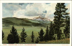 Electric Peak, 11, 155 Ft Postcard