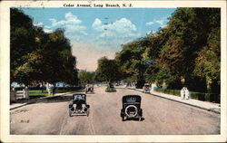 Cedar Avenue Postcard