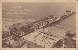 Steel Pier - The Showplace of the Nation Postcard