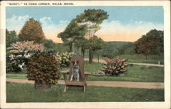 "Buddy," Ye Cosie Corner Postcard