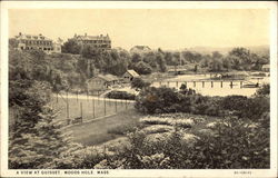A View at Quisset Woods Hole, MA Postcard Postcard