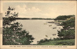 Eel Pond, North Shore from Golf Grounds Postcard