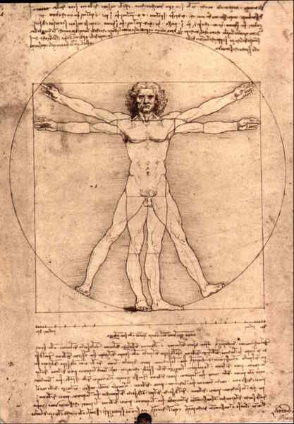 Schema Delle Proporzioni del Corpo Umano by Leonardo