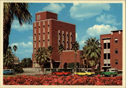 University of Arizona - Administration Building Postcard