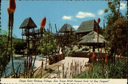 San Diego Wild Animal Park "at San Pasqual" - Congo River Fishing Village Escondido, CA Postcard Postcard