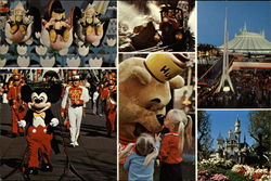 Disneyland Postcard