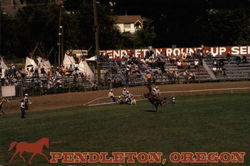 Pendleton Roundup Postcard