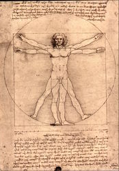 Schema Delle Proporzioni del Corpo Umano by Leonardo Postcard